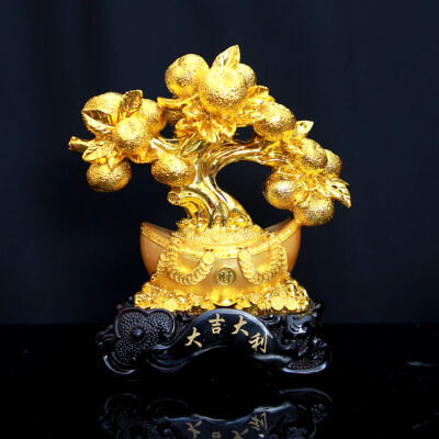 Cây Chiêu Tài, Cao 30cm